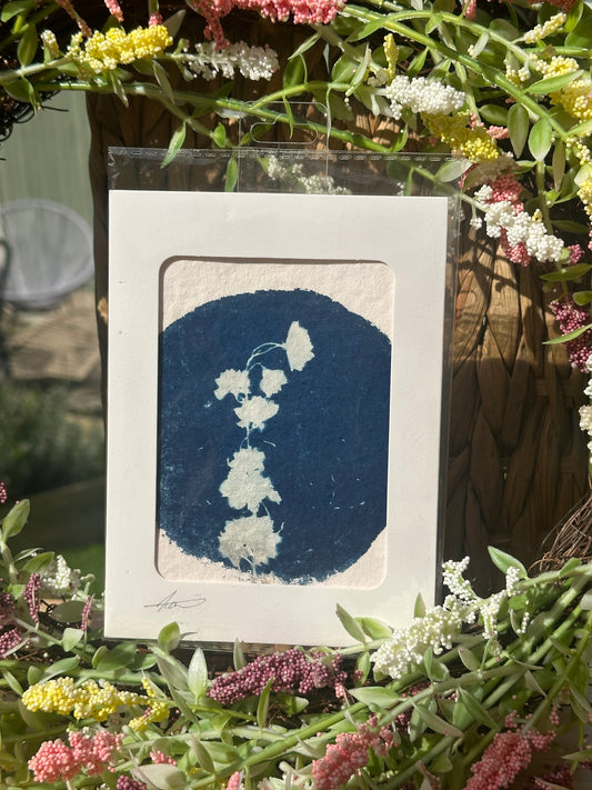 Original Botanical Cyanotype