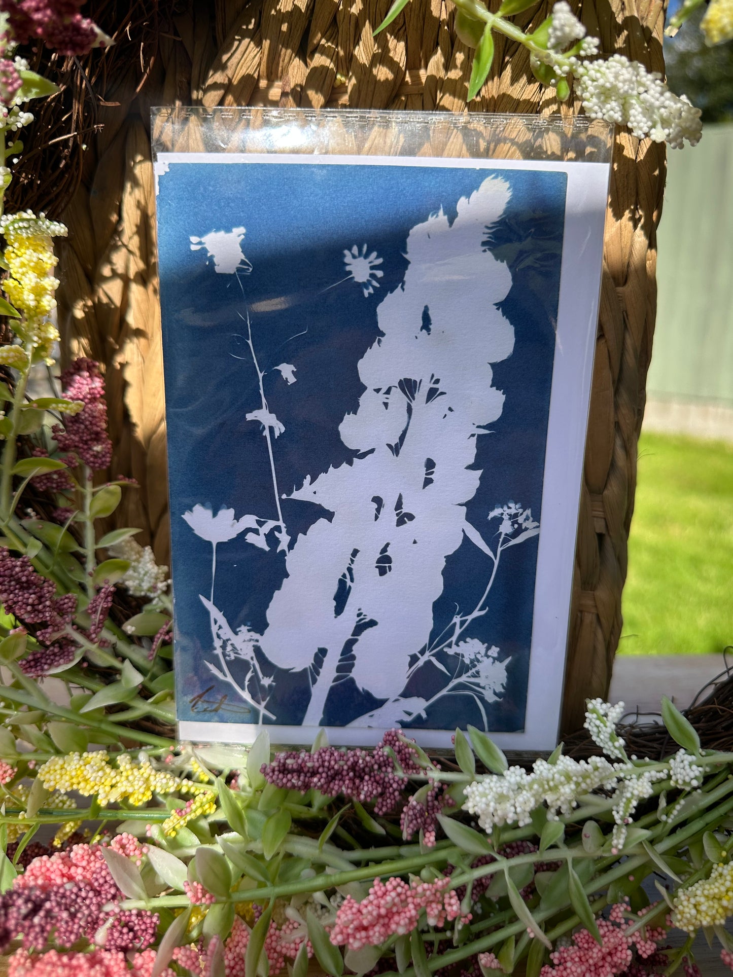 Full Cyanotype Print Cards – Botanical Originals