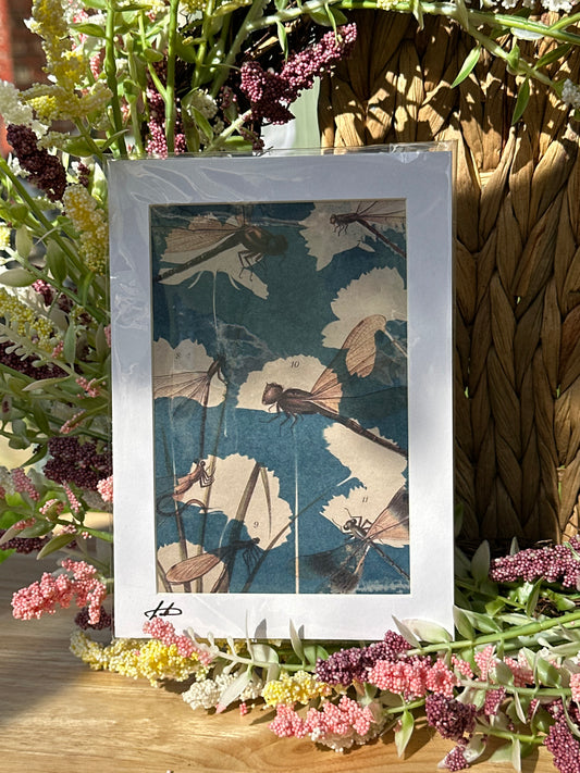 Original Cyanotype Illustrated Paper