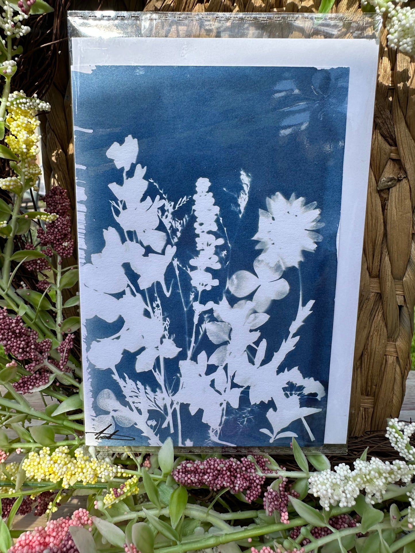 Full Cyanotype Print Cards – Botanical Originals