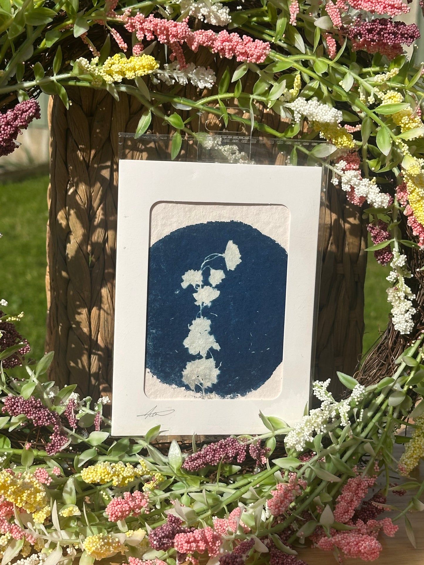 Original Botanical Cyanotype