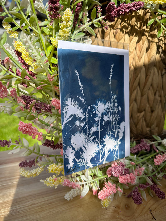 Full Cyanotype Print Cards – Botanical Originals