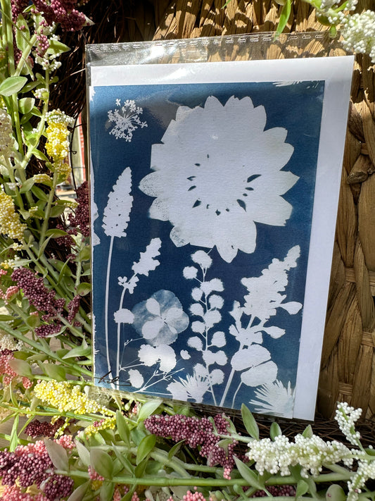 Full Cyanotype Print Cards – Botanical Originals