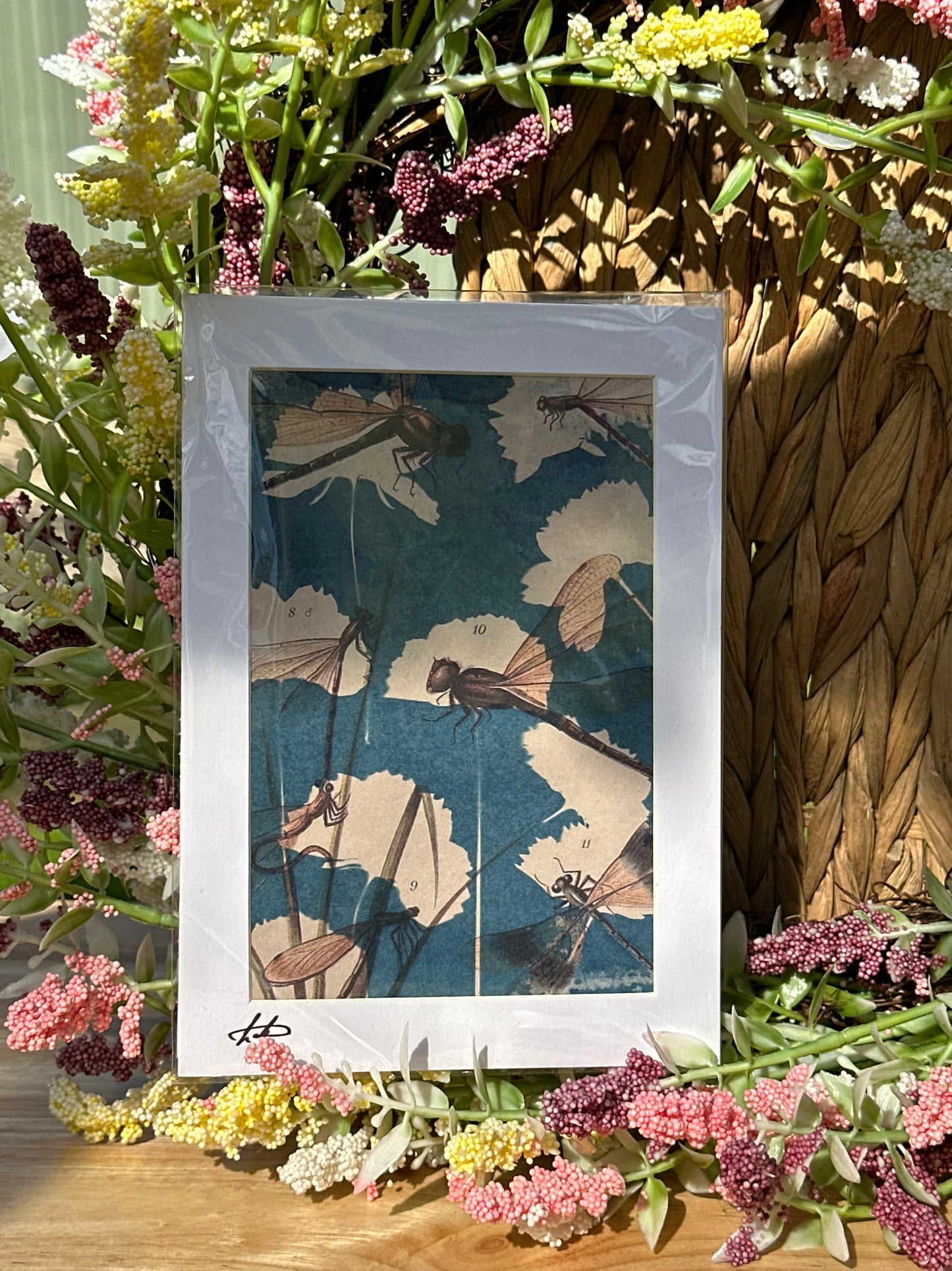 Original Cyanotype Illustrated Paper