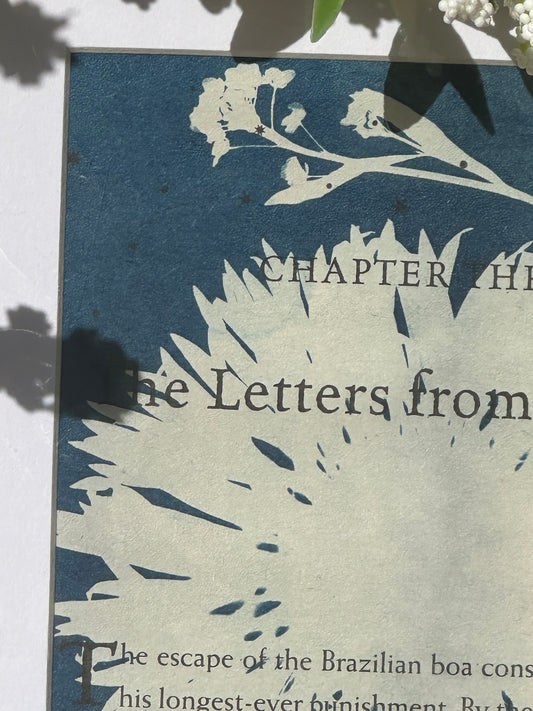 Original Cyanotype Print on Book Paper