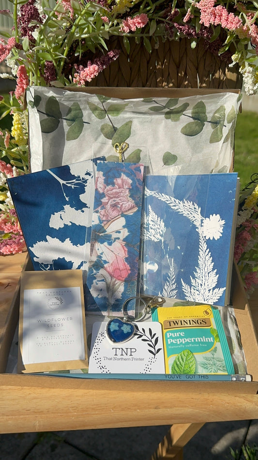 Cyanotype Gift Box (pp)