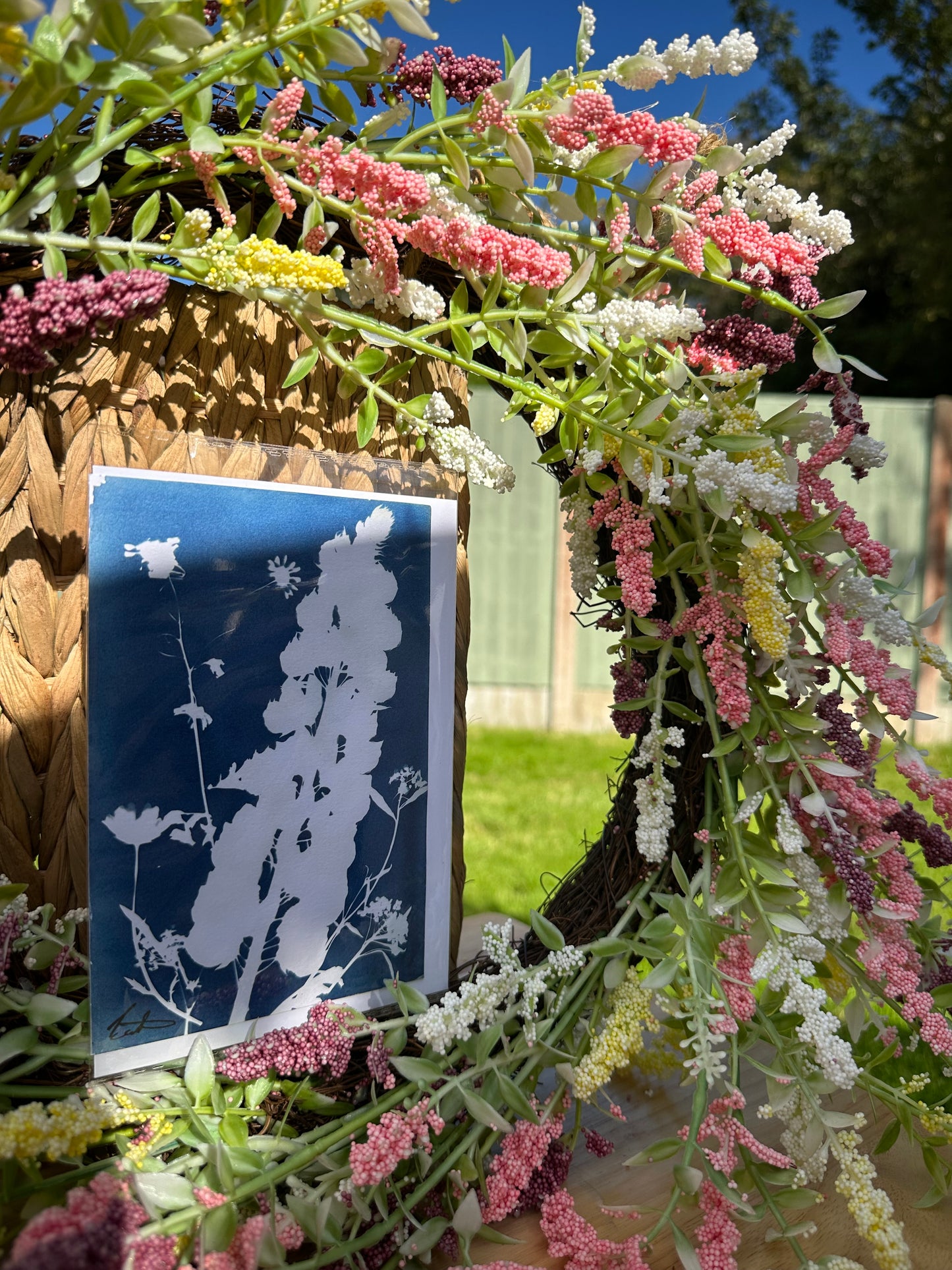 Full Cyanotype Print Cards – Botanical Originals