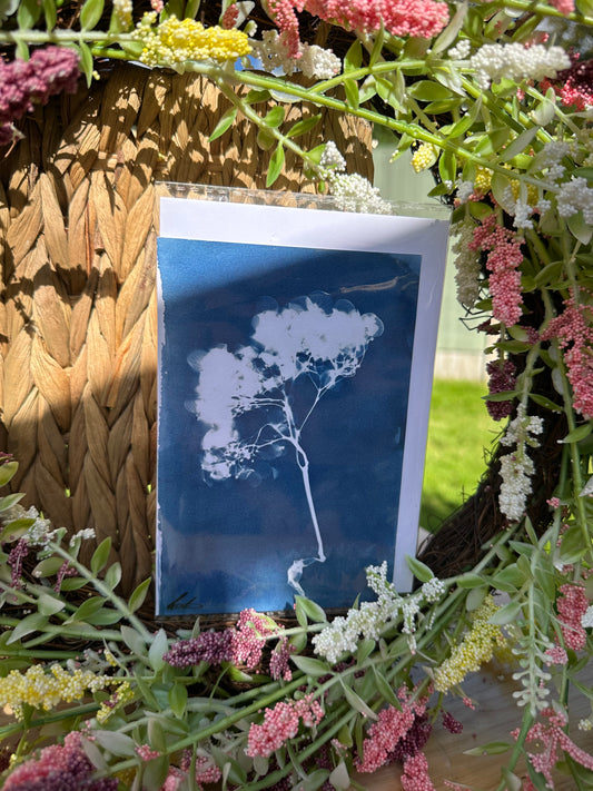 Full Cyanotype Print Cards – Botanical Originals