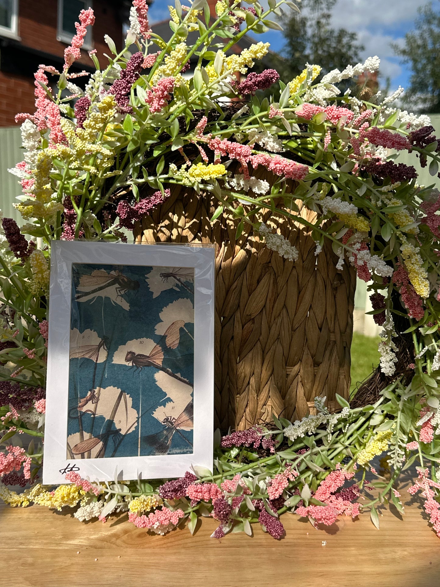 Original Cyanotype Illustrated Paper