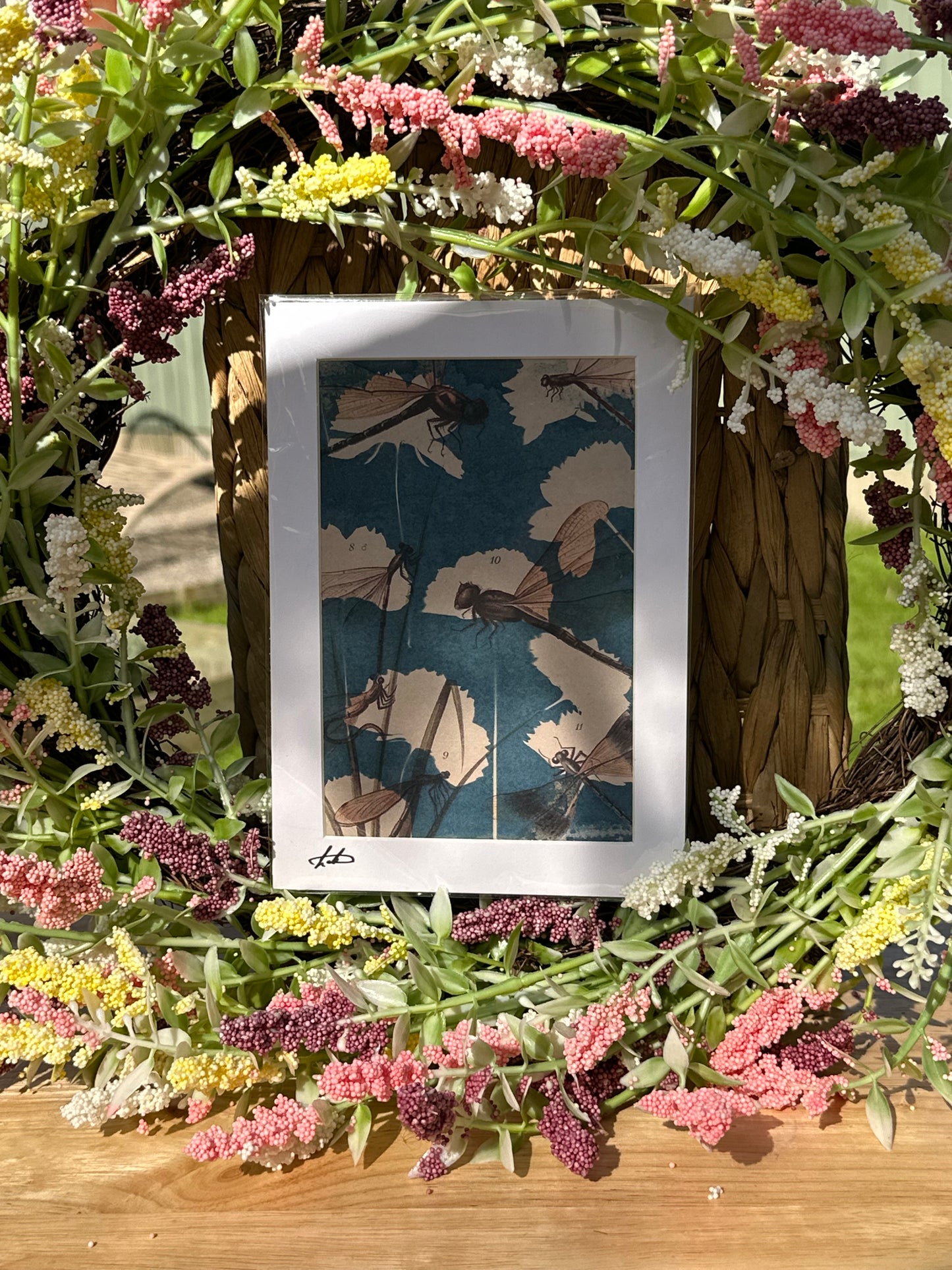 Original Cyanotype Illustrated Paper