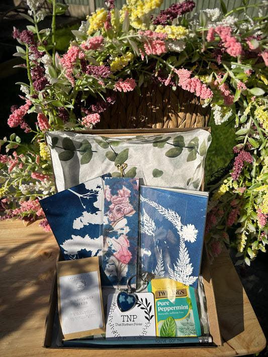 Cyanotype Gift Box (pp)
