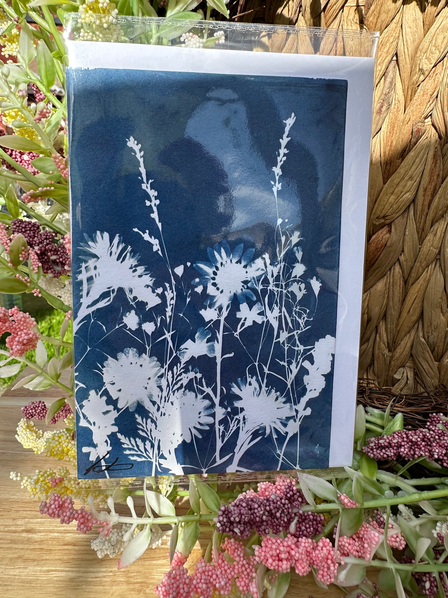 Full Cyanotype Print Cards – Botanical Originals