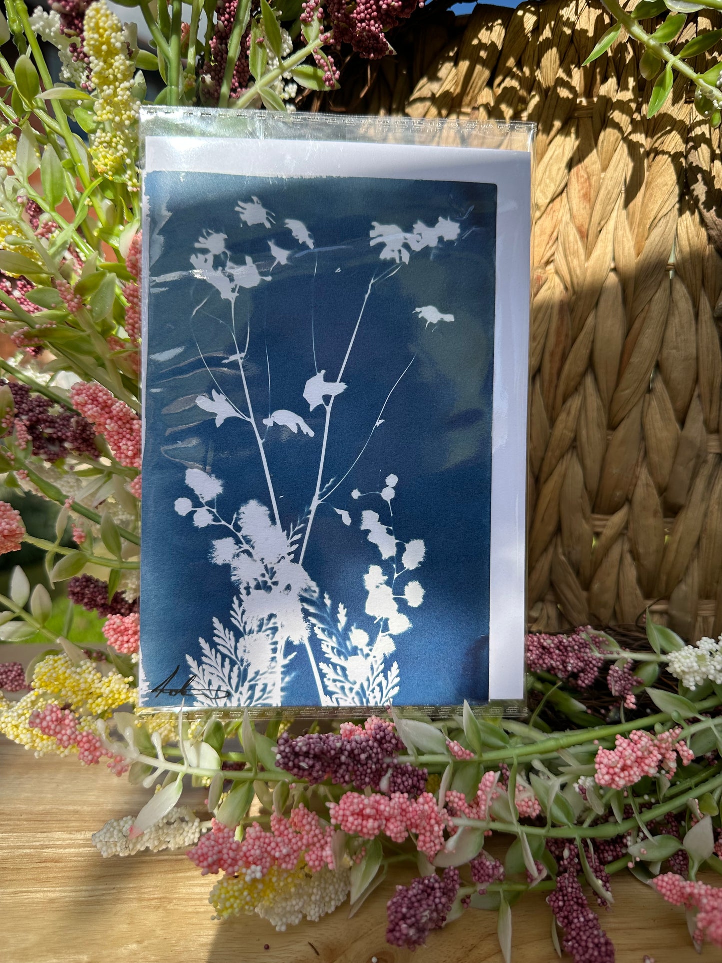 Full Cyanotype Print Cards – Botanical Originals