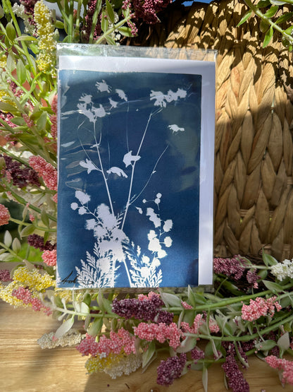 Full Cyanotype Print Cards – Botanical Originals