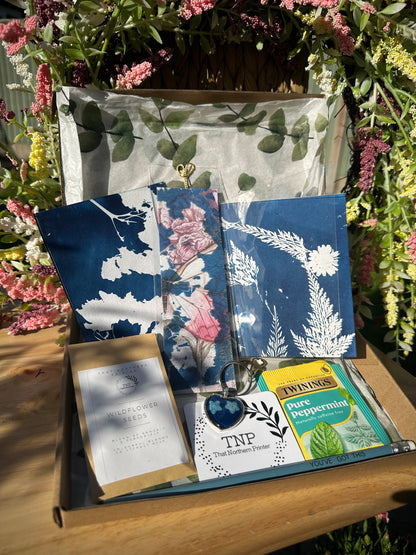 Cyanotype Gift Box (pp)