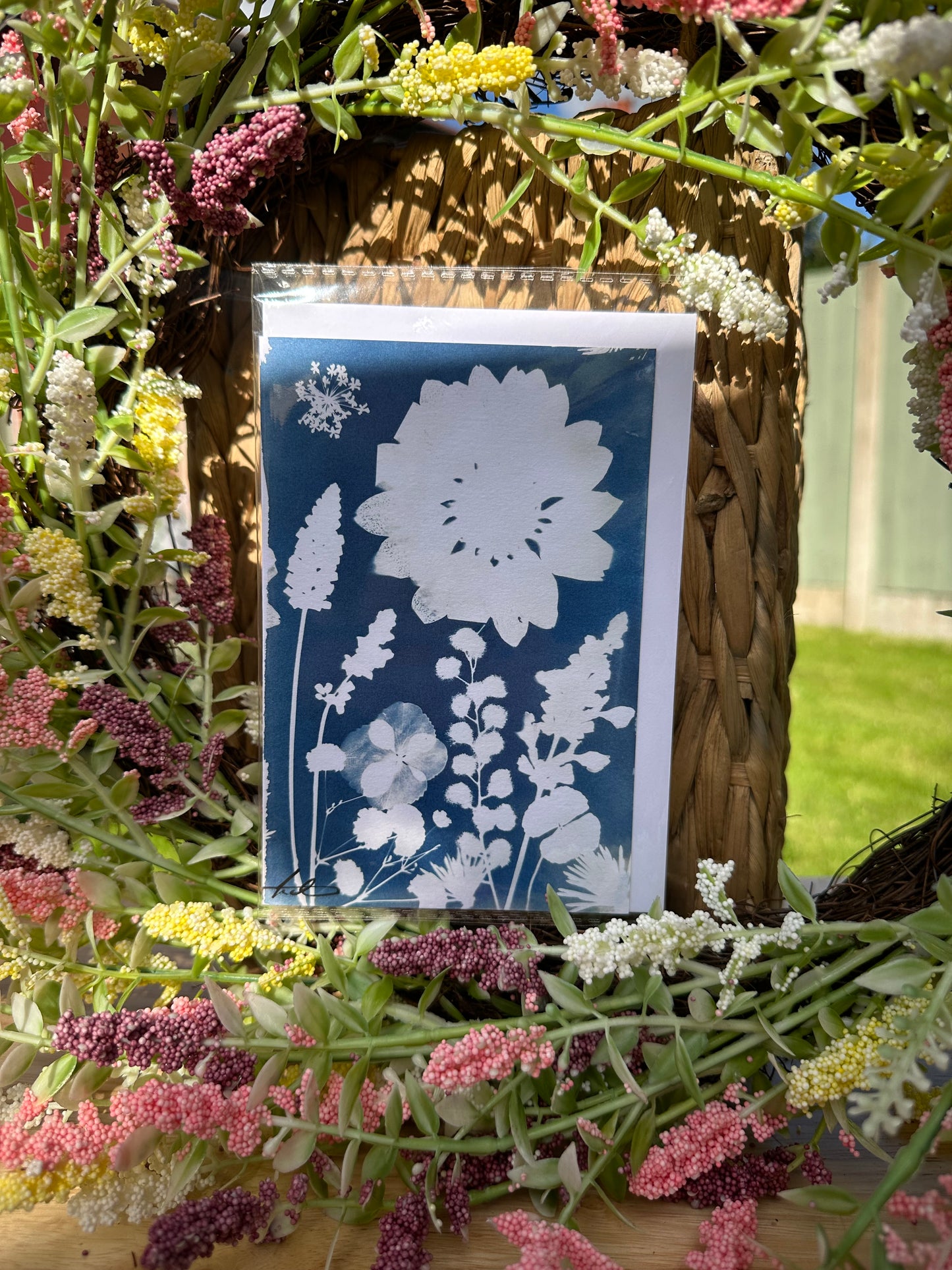 Full Cyanotype Print Cards – Botanical Originals