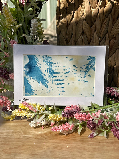 Cyanotype Wet Print
