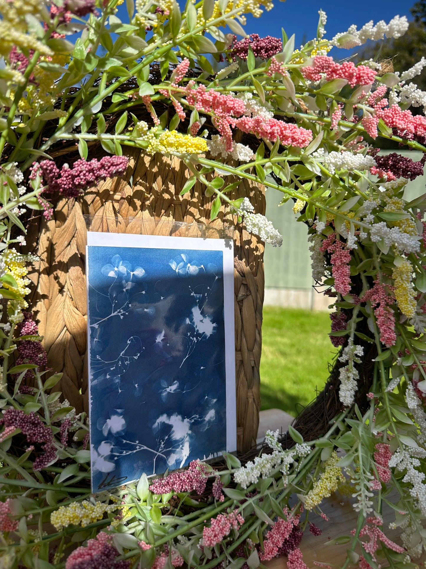 Full Cyanotype Print Cards – Botanical Originals