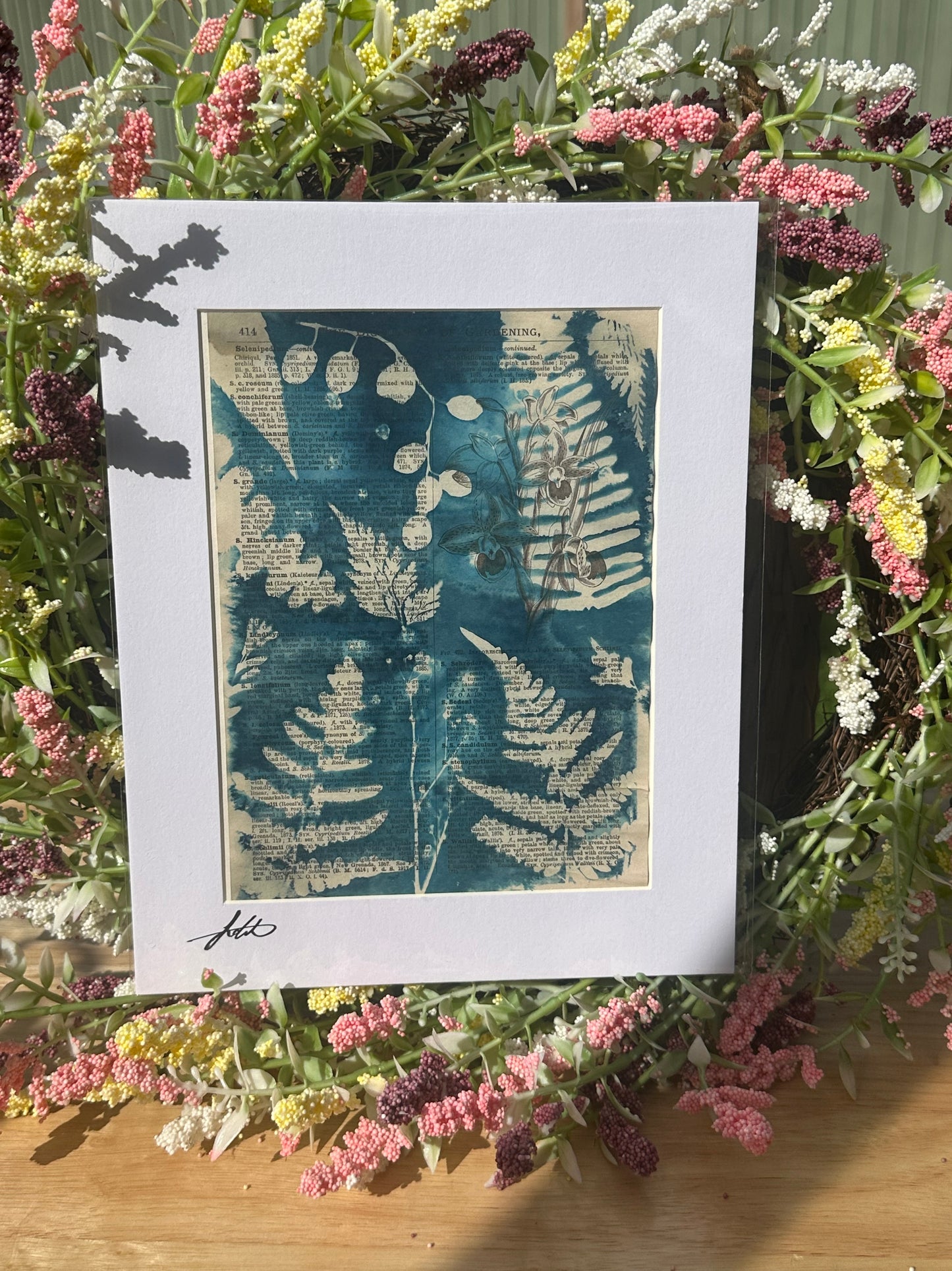 Original Cyanotype Illustrated Paper