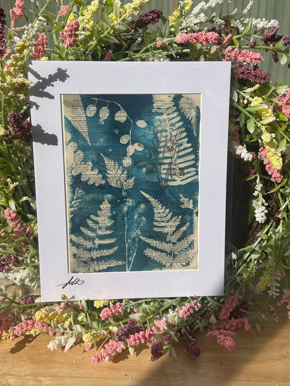 Original Cyanotype Illustrated Paper