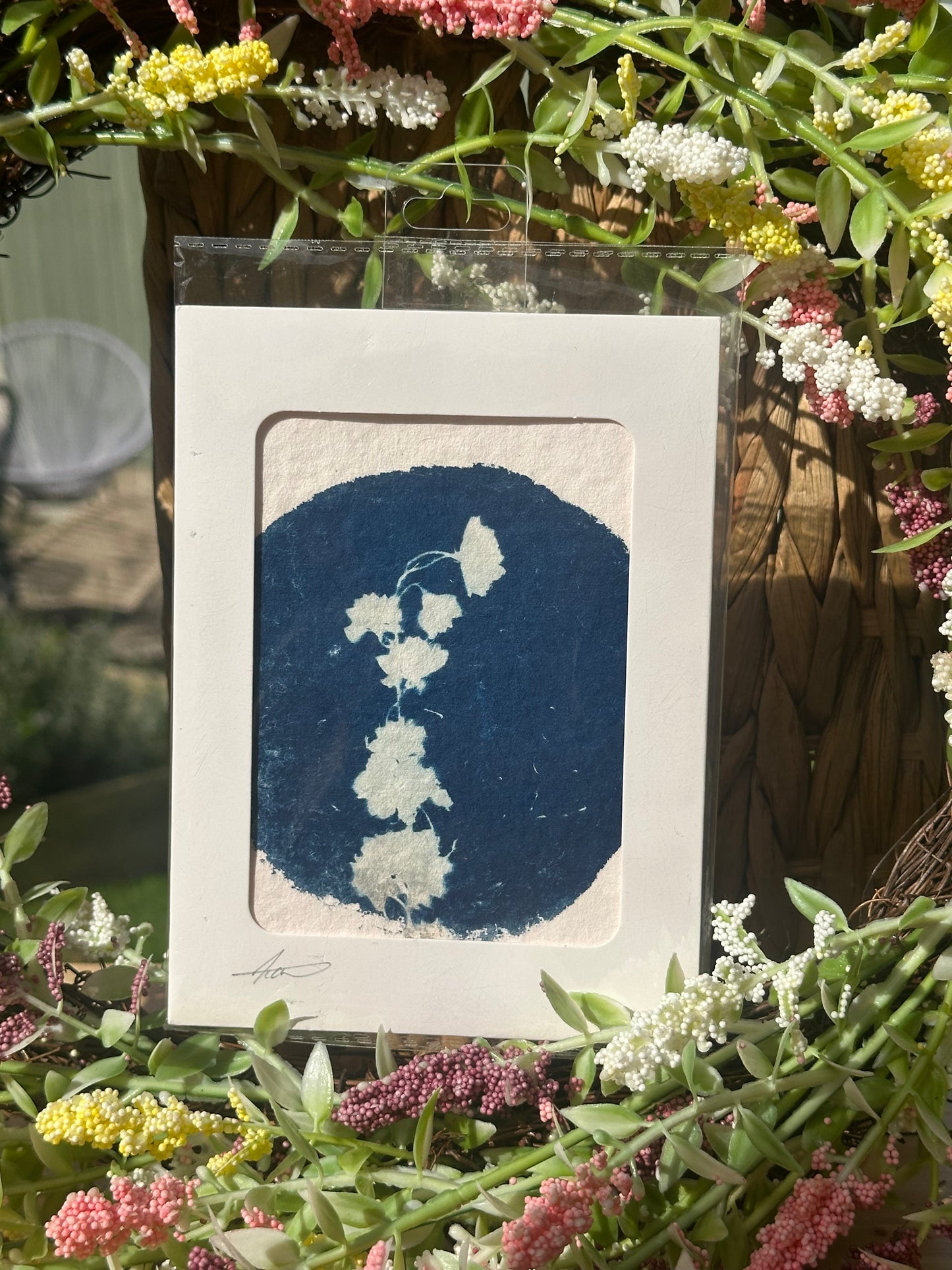 Original Botanical Cyanotype