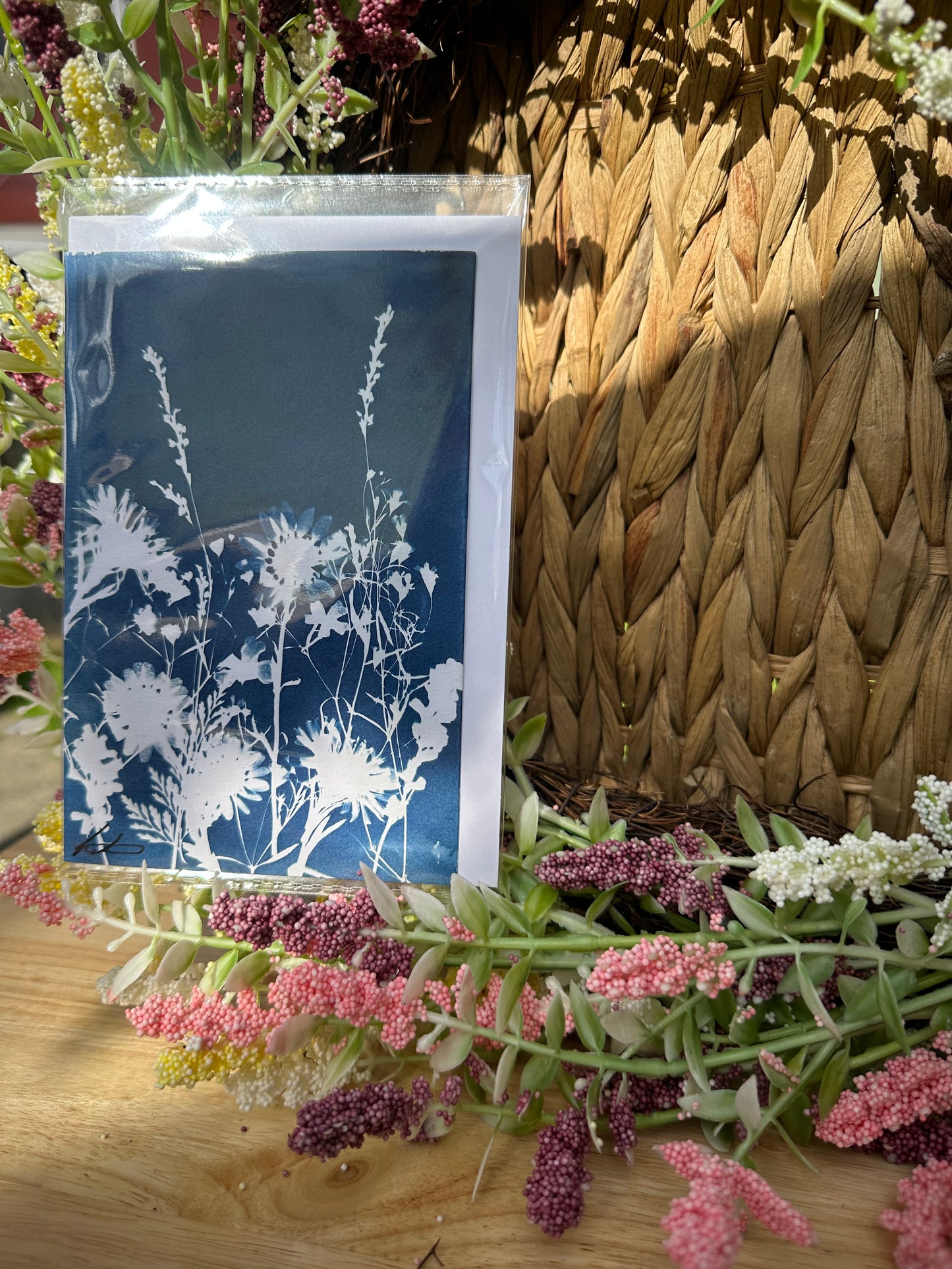 Full Cyanotype Print Cards – Botanical Originals