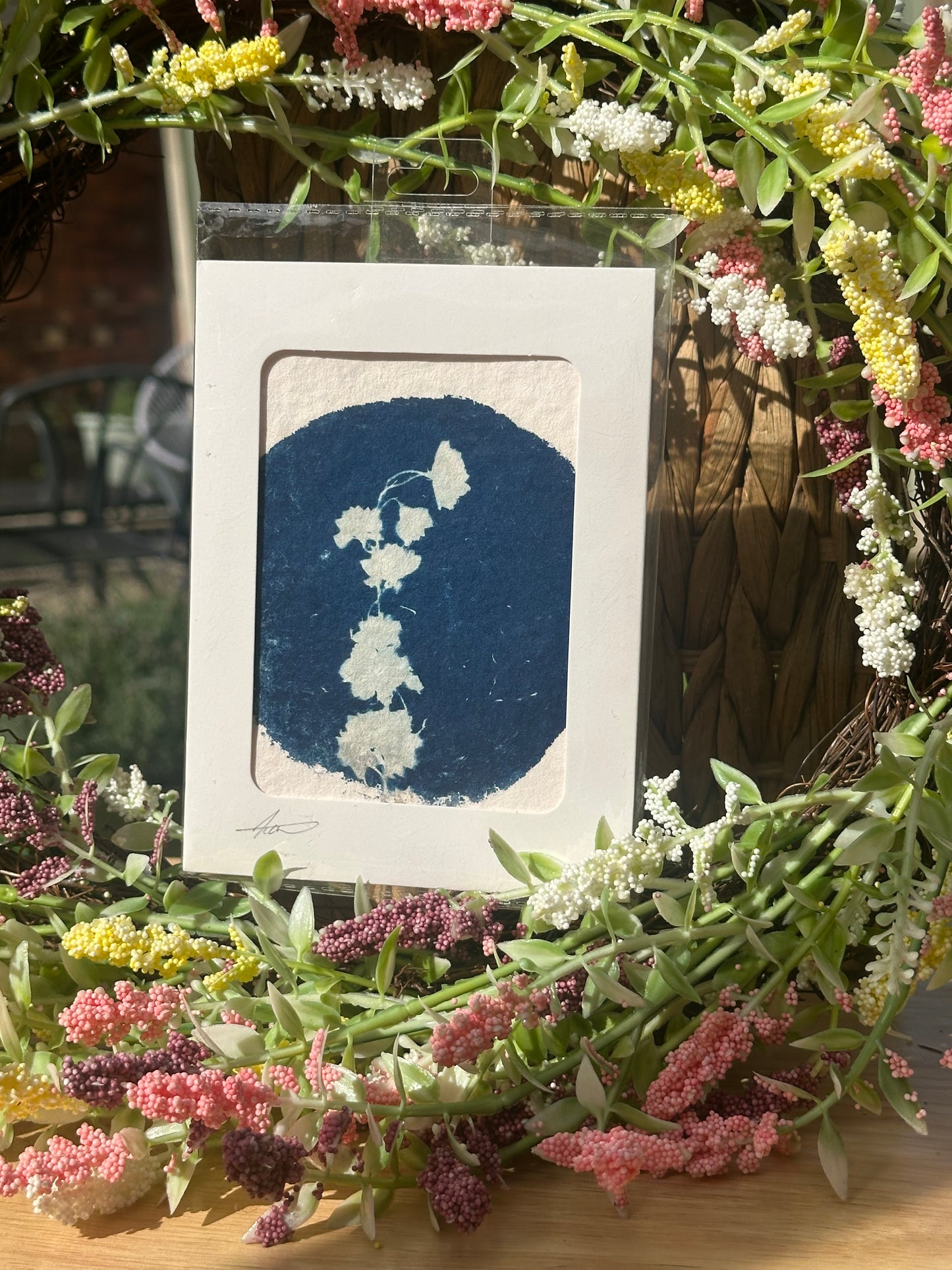 Original Botanical Cyanotype