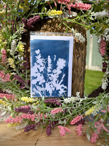 Full Cyanotype Print Cards – Botanical Originals