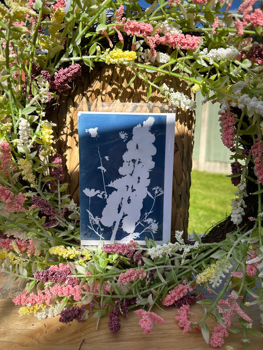 Full Cyanotype Print Cards – Botanical Originals