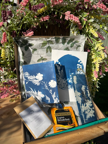 Cyanotype Gift Box (ot)