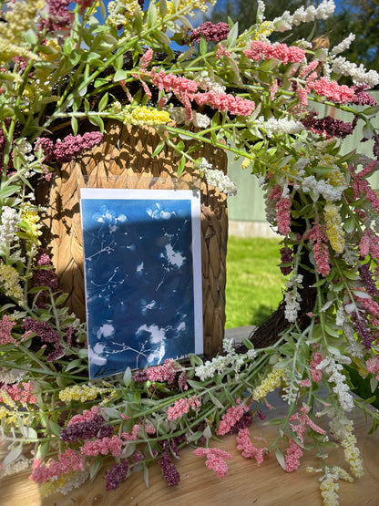 Full Cyanotype Print Cards – Botanical Originals