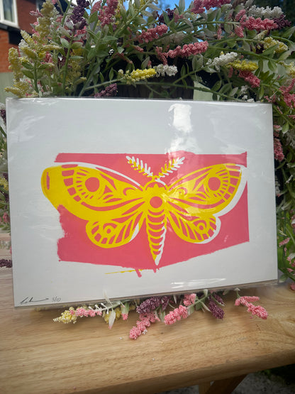 Misprint - Moth Screenprint