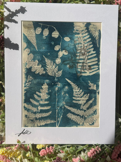 Original Cyanotype Illustrated Paper