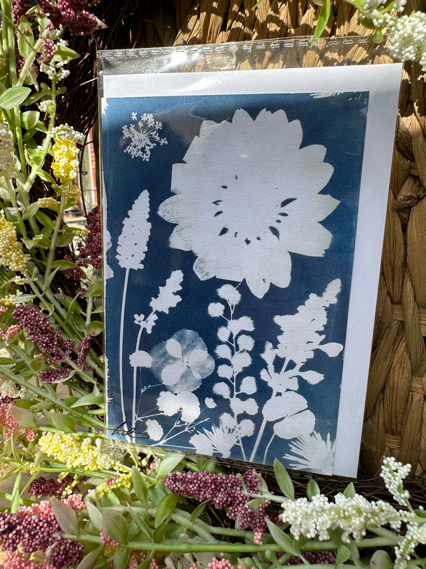 Full Cyanotype Print Cards – Botanical Originals