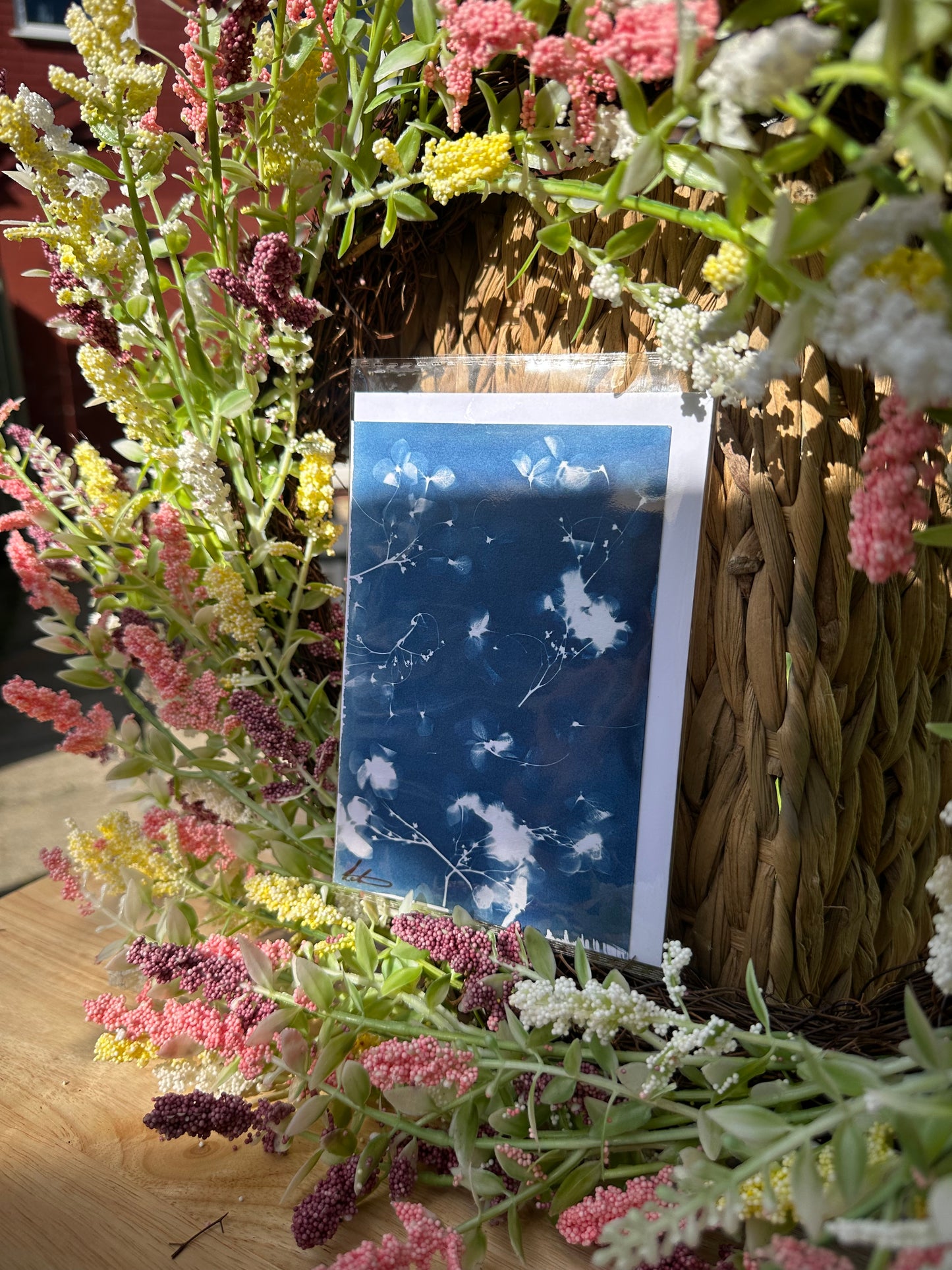 Full Cyanotype Print Cards – Botanical Originals