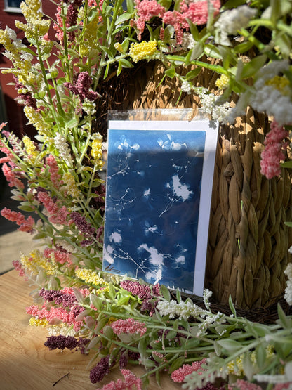 Full Cyanotype Print Cards – Botanical Originals
