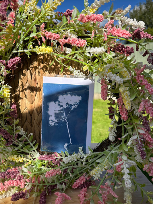 Full Cyanotype Print Cards – Botanical Originals