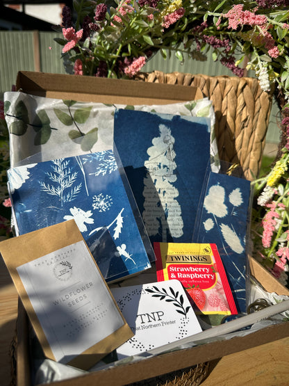 Cyanotype Gift Box (sr)