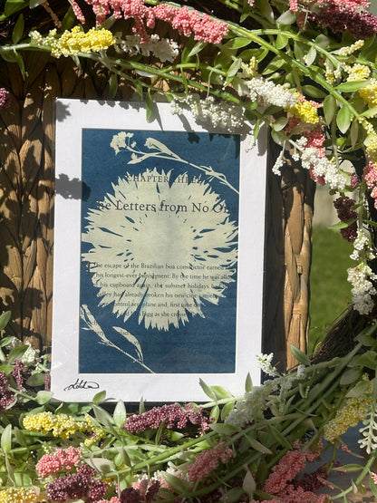 Original Cyanotype Print on Book Paper