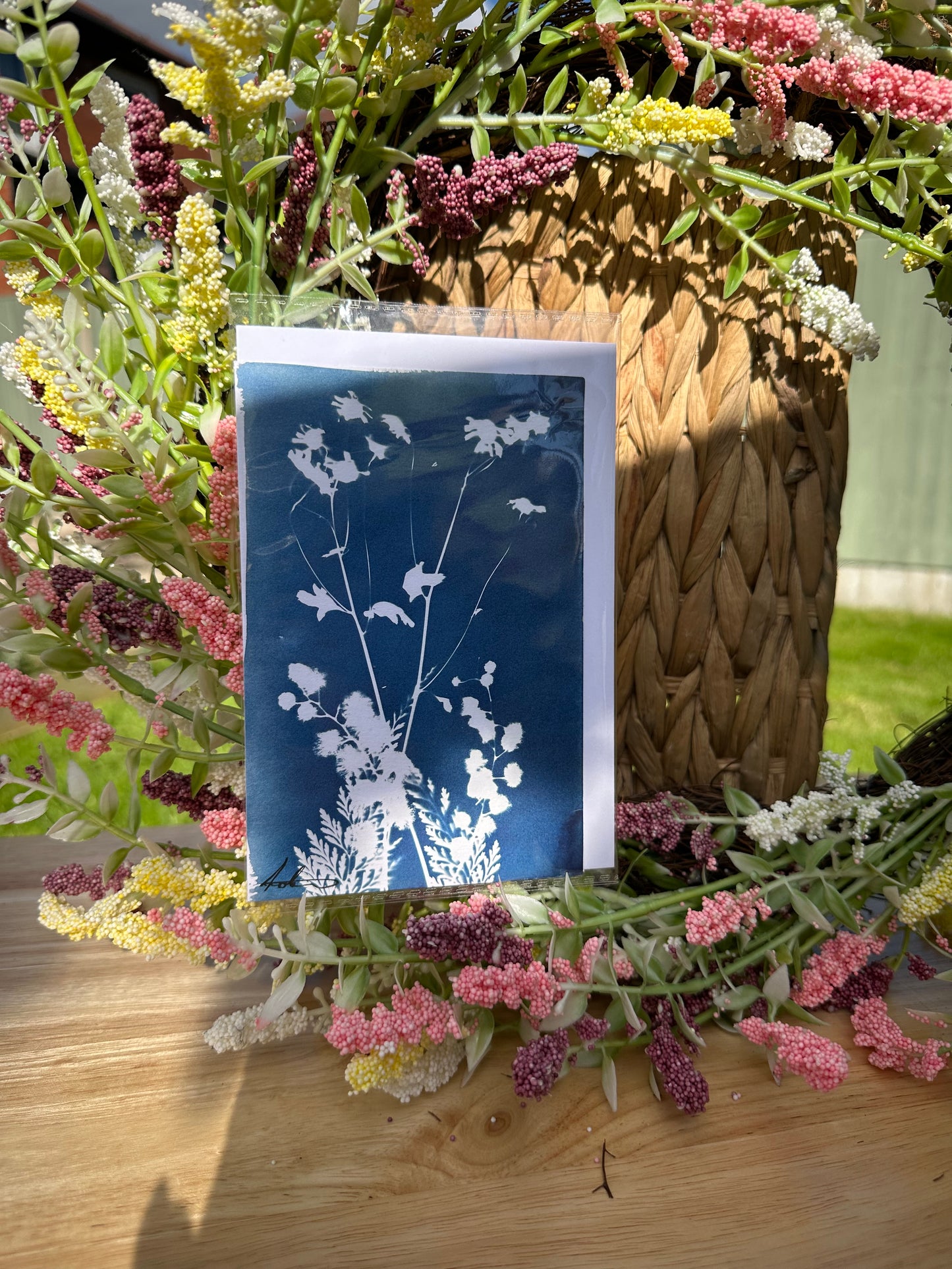 Full Cyanotype Print Cards – Botanical Originals