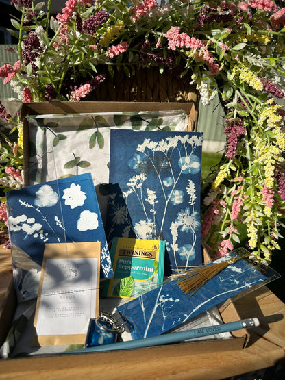 Cyanotype Gift Box (p)