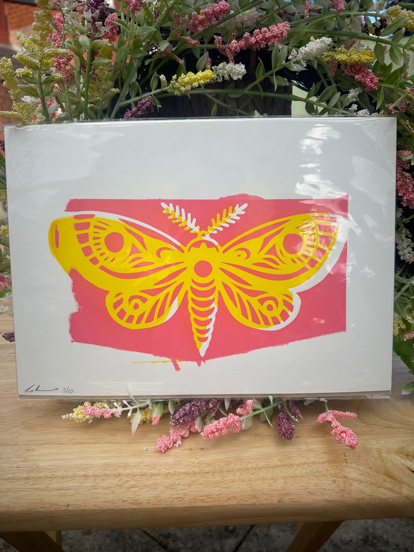 Misprint - Moth Screenprint