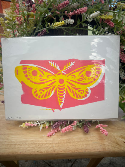 Misprint - Moth Screenprint