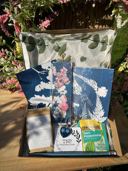 Cyanotype Gift Box (pp)