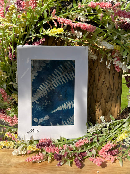 Original Cyanotype Print on Book Paper