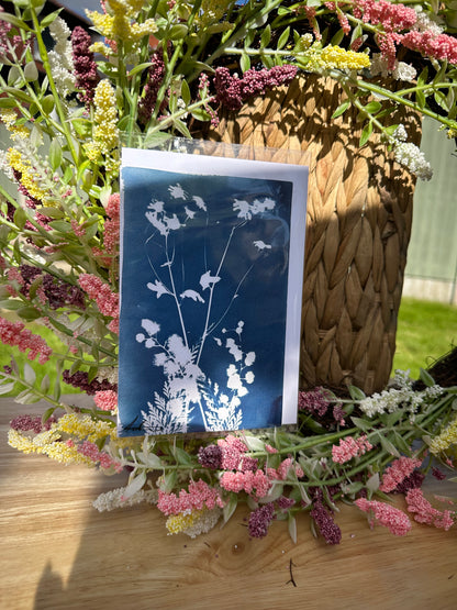 Full Cyanotype Print Cards – Botanical Originals