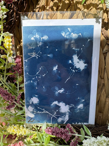 Full Cyanotype Print Cards – Botanical Originals