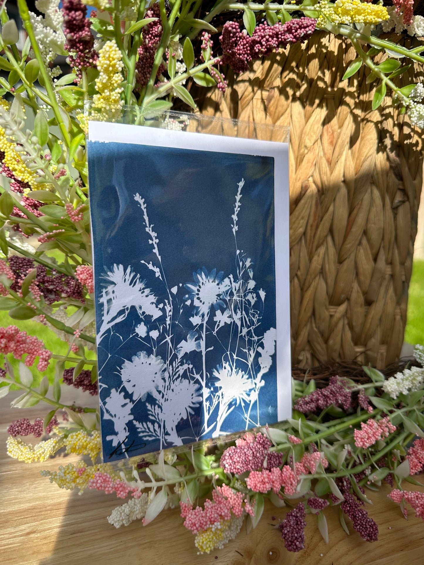 Full Cyanotype Print Cards – Botanical Originals