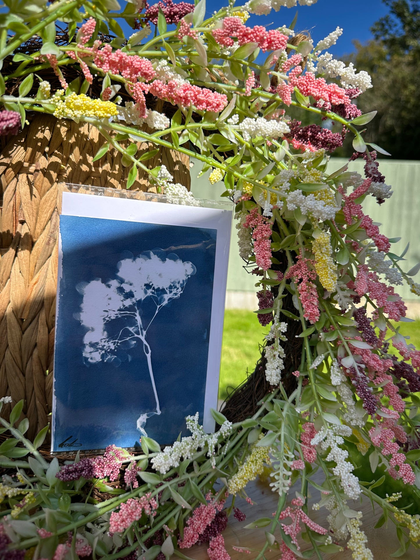 Full Cyanotype Print Cards – Botanical Originals