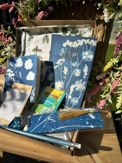 Cyanotype Gift Box (p)